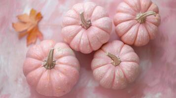 Pumpkin vegetable top view on the pastel background photo