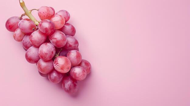 Grape fruits top view on the pastel background photo