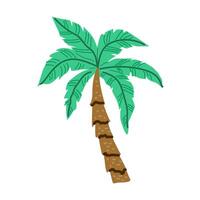 Palm tree cartoon isolated on white. Single palm clipart. vector