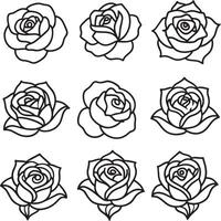 set of roses lineart design isolated in white background vector