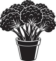 illustration of a Broccoli flower isolated on white backgound vector