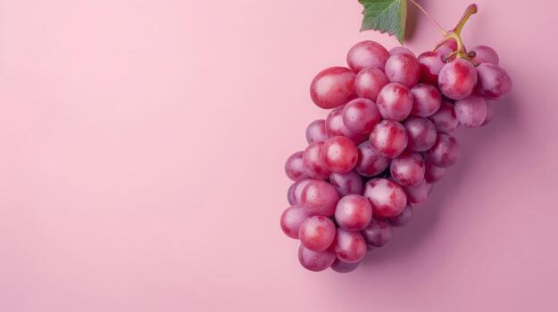 Grape fruits top view on the pastel background photo