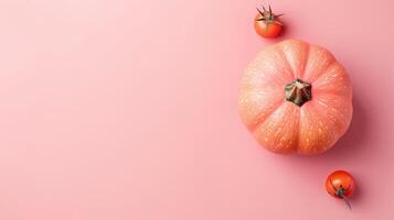 Pumpkin vegetable top view on the pastel background photo