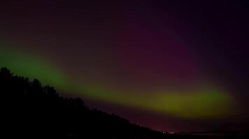 lindo norte luzes ou aurora boreal dentro a céu sobre Letônia em pode 11, 2024. panorama do aurora boreal, norte luzes com estrelado dentro a noite céu video