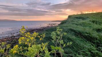 panorama- se av vild atlanten sätt på solnedgång, nära silverstrand strand, galway, Irland, landskap, havsbild, natur och hav video