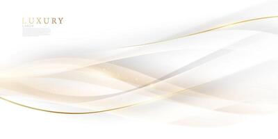 white abstract background with luxury golden lines illustration vector