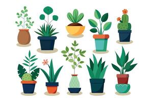 Potted plants set. Interior houseplants in pots. vector