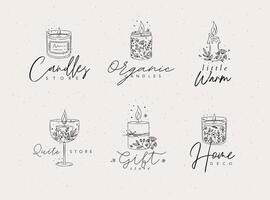 Candles with branches and leaves label collection drawing on light background vector