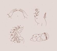 Pregnancy symbols female torso, silhouette of a pregnant woman, sleeping child drawing in floral hand-drawing style on with brown beige background vector