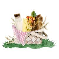 Picnic basket with dairy producs and fruits. Milk bottle, ears of wheat, fresh bread, cheese, grapes, blanket on grass vector