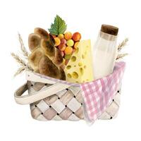 Watercolor picnic basket for dairy farm barbeque, Shavuot. Milk, wheat, challah bread, cheese, grapes, checkered blanket vector