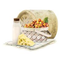acuarela shavuot picnic con mimbre cesta. leche, trigo, uvas, queso, frazada, arrollado heno. lechería granja ilustración vector