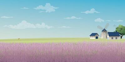 Old farm windmill in lavender field side view with blue sky background illustration have blank space. Countryside concept with purple flowers field. vector