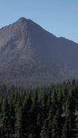 A mountain range with trees in the foreground and a blue sky in the background video