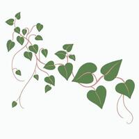 Floral ivy drawing decorative ornament flat design. vector