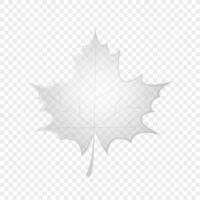 Hand drawn maple leaf. An idea for a fashion illustrations, magazines, printing on clothes, advertising, coloring books. Canadian maple leaf icon. Autumn leaf illustration vector