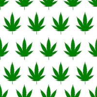 seamless pattern of marijuana leaves on white background vector