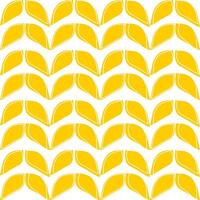 Geometric symmetrical seamless pattern with yellow ears of wheat or leaves on a white background. vector