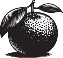 clementina, Fruta silueta, negro color silueta vector