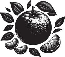 clementina, Fruta silueta, negro color silueta vector