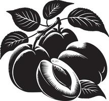 albaricoques Fruta silueta, negro color silueta vector