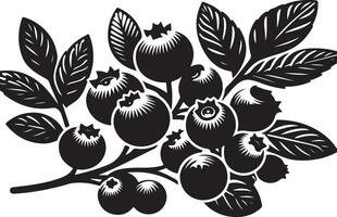 Blueberries, fruit silhouette vector