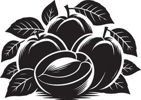 Apricots fruit silhouette, black color silhouette vector