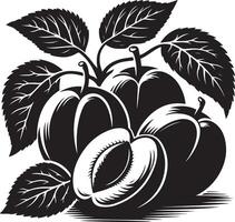 albaricoques Fruta silueta, negro color silueta vector