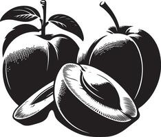 Apricots fruit silhouette, black color silhouette vector