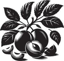 Damson plum, fruit silhouette, black color silhouette vector