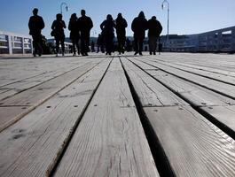 Boardwalk by the sea, wooden plank, decking, walkway, path or terrace, low angle view vertical image of patio deck pier, copy space photo