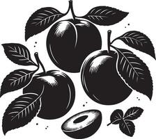 Damson plum, fruit silhouette, black color silhouette vector