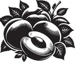 albaricoques Fruta silueta, negro color silueta vector