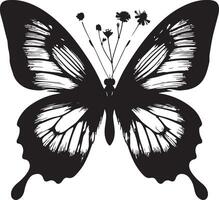 Real Pressed butterfly flower animal insect, black color silhouette vector