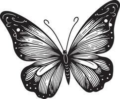 Butterfly line art illustration, butterfly flying on the air silhouette vector