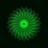 Geometric line gradient flower in grid style on a black background. Technology network background. Graphic ornament. Isometric illustration. Gradient blossom vector