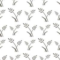Spikelets with grains of wheat, rye, barley or rice in seamless pattern vector