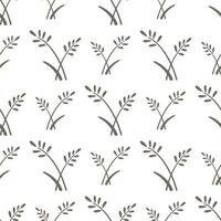 Spikelets with grains of wheat, rye, barley or rice in seamless pattern vector