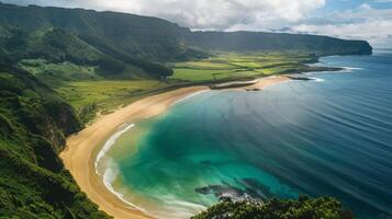 aéreo ver de un playa en Hawai con turquesa aguas, blanco arenoso costas, y palma arboles debajo un claro azul cielo. foto