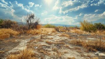 A deserted field featuring dry grass under a cloudy sky. photo