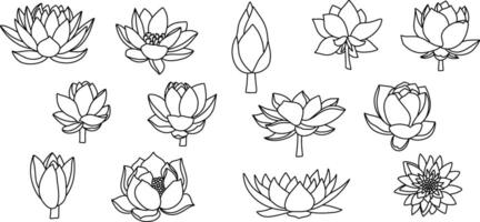 Lotus flower doodle icon Sketch vector