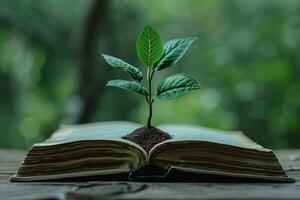 Knowledge Growth. Plant Sprouting from Open Book, Symbolizing Education, Learning, and Personal Development photo