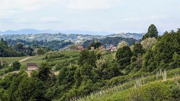 Beautiful green landscape, vineyards and houses at Klenice, Croatia, Hrvatsko zagorje, agricultural countryside photo