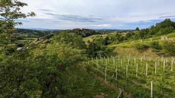 hermosa verde paisaje, viñedos y casas a klenice, Croacia, hrvatsko zagorje, agrícola campo foto