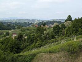 hermosa verde paisaje, viñedos y casas a klenice, Croacia, hrvatsko zagorje, agrícola campo foto