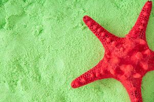 de moda verano composición hecho con rojo estrella de mar en verde playa arena antecedentes con Copiar espacio. mínimo concepto foto de verano vacaciones. Hora de verano estético. exótico único naturaleza plano poner.