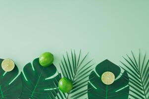 Creative trendy summer layout made with lime and tropical green palm leaves on pastel green background with copy space. Minimal summer fruit concept. Nature monochromatic flat lay. Top of view. photo