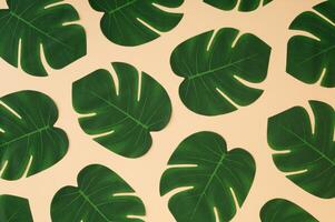 creativo naturaleza modelo composición hecho con verde tropical monstera hojas en arena color antecedentes. mínimo verano selva o bosque modelo antecedentes imagen. exótico plano poner. parte superior de vista. foto