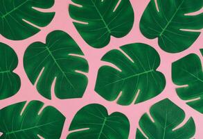 Creative nature pattern composition made with green tropical leaves on light pink background. Minimal summer jungle or forest pattern background image. Exotic flat lay. Top of view. photo