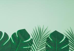 Creative trendy summer composition made with tropical green palm leaves on pastel green background with copy space. Minimal concept. Nature layout. Monochromatic flat lay. Top of view. photo